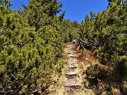 24 Dal roccolo del Veroppio salgo ad agganciare il Sentiero dei roccoli